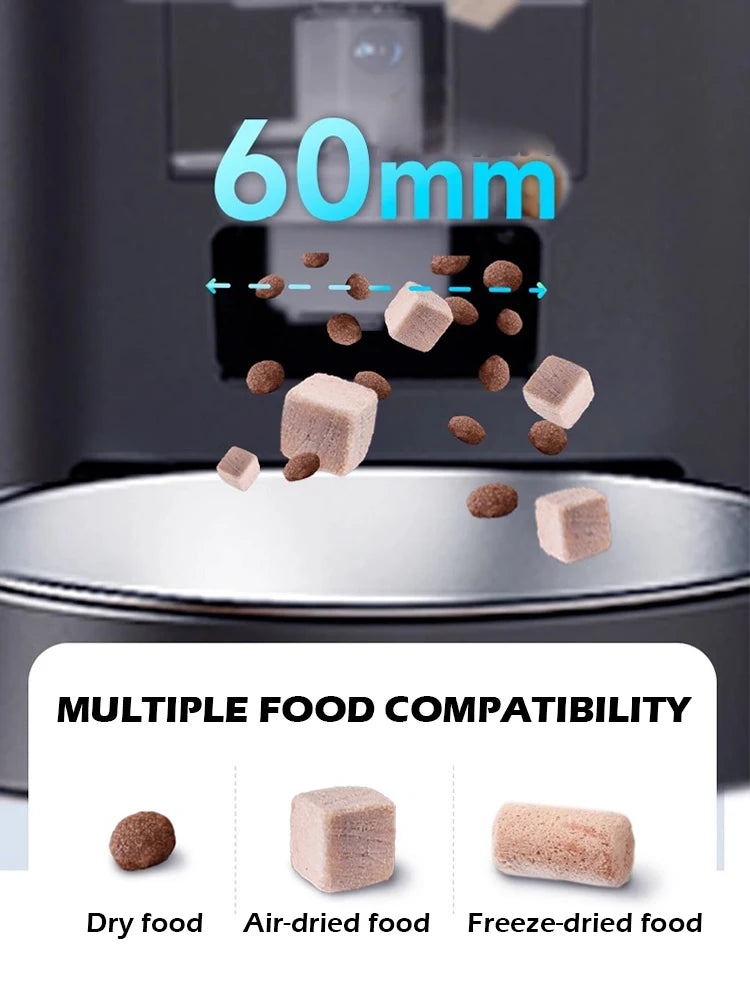 Smart Camera Feeder Plus