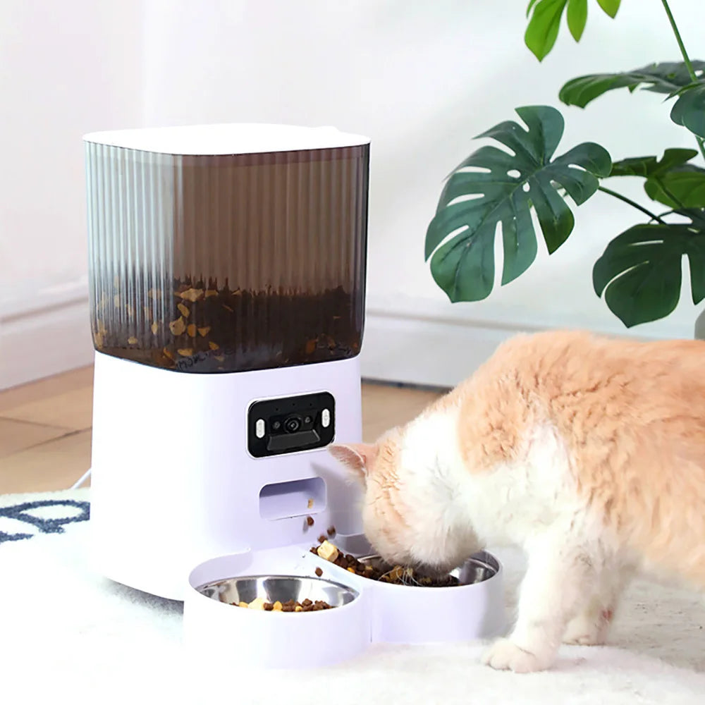 Smart Auto Feeder Basic