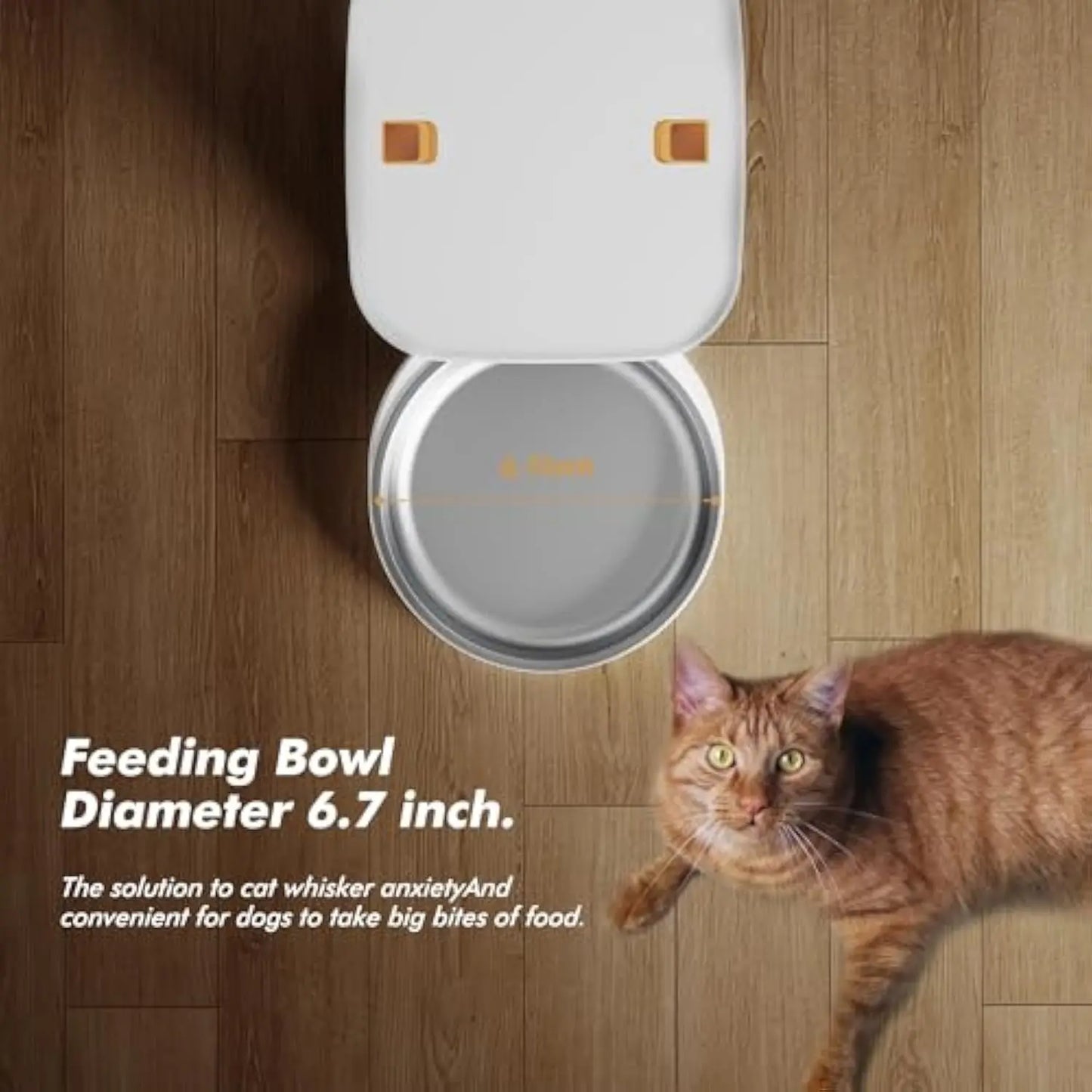 Smart Camera Feeder Plus